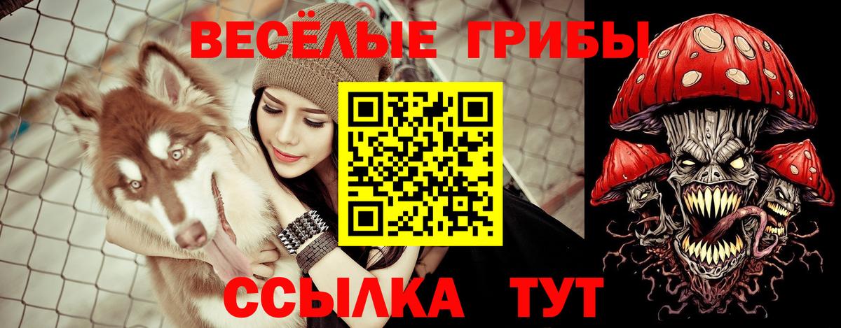 Дмитров  Галлюциногенные грибы GOLDEN TEACHER  Вход с VPN 